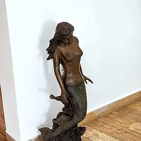 Scoica